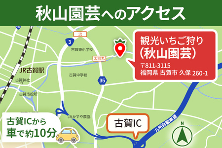 ６０分食べ放題！いちご狩りチケット！（大人１名様分×１枚）