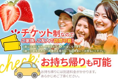 ６０分食べ放題！いちご狩りチケット！＜大人１名様分×４枚＞