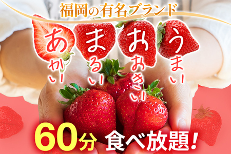 ６０分食べ放題！いちご狩りチケット！＜大人１名様分×8枚＞
