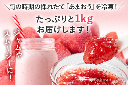 冷凍いちご（あまおう）約1kg ジャム シロップ スムージー 冷凍 イチゴ 苺 あまおう 果物 くだもの フルーツ 冷凍果実 冷凍フルーツ 先行予約 送料無料