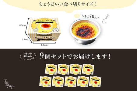 未使用　クリームブリュレ用　耐熱製　プレート　20枚 未使用 クリームブリュレ用 耐熱製 プレート 20枚 - メルカリ