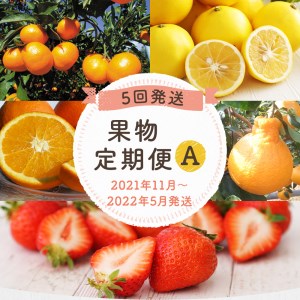 【定期便(5回発送)】果物定期便A (みかん・ネーブル・デコポン・あまおう・ニューサマーオレンジ)