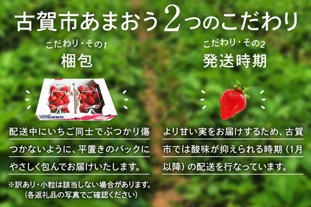 先行予約 あまおう 合計約800g 約400g×2パック（１パックあたり、9玉～18玉） 福岡県産 九州 イチゴ いちご 苺 果物 くだもの フルーツ 送料無料 【2025年1月～2月順次発送予定】