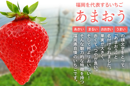 先行予約 あまおう 合計約800g 約400g×2パック（１パックあたり、9玉～18玉） 福岡県産 九州 イチゴ いちご 苺 果物 くだもの フルーツ 送料無料【2026年2月～2026年3月順次発送】