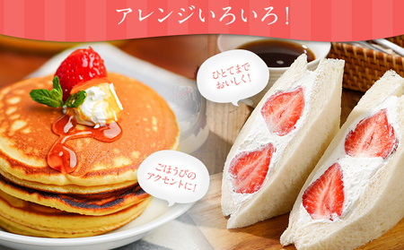 先行予約 あまおう 合計約800g 約400g×2パック（１パックあたり、9玉～18玉） 福岡県産 九州 イチゴ いちご 苺 果物 くだもの フルーツ 送料無料【2026年2月～2026年3月順次発送】