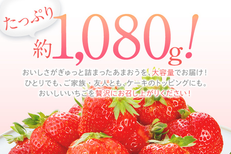 先行予約 あまおう 合計約1,080g 約270g×4パック 福岡県産 九州 イチゴ いちご 苺 果物 くだもの フルーツ 送料無料 【2025年1月～2月順次発送予定】