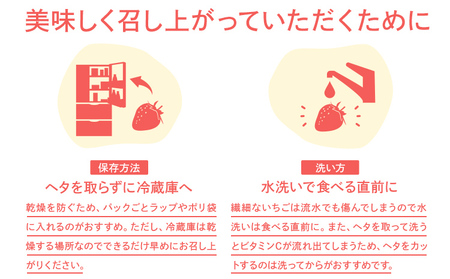 先行予約 あまおう 合計約1,080g 約270g×4パック 福岡県産 九州 イチゴ いちご 苺 果物 くだもの フルーツ 送料無料 【2026年2月～2026年3月順次発送】