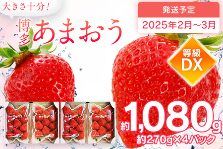 2024年2月～3月順次発送予定】 あまおう 合計約1,120g 約280g×4パック