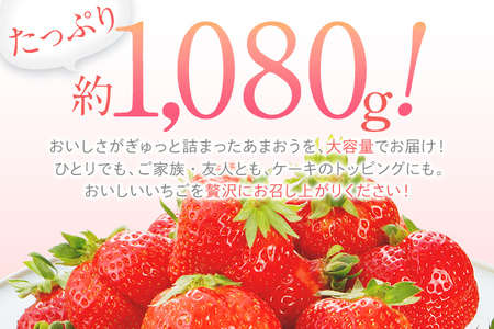 2024年2月～3月順次発送予定】 あまおう 合計約1,120g 約280g×4パック