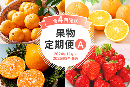 定期便 果物定期便A 4回発送 みかん ネーブル デコポン 博多あまおう 定期発送 果物 くだもの フルーツ 柑橘 イチゴ 送料無料 【2024年12月～2025年3月発送】