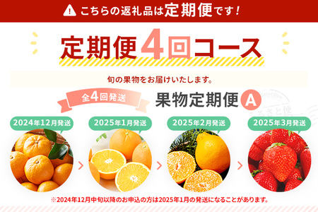 定期便 果物定期便A 4回発送 みかん ネーブル デコポン 博多あまおう 定期発送 果物 くだもの フルーツ 柑橘 イチゴ 送料無料 【2024年12月～2025年3月発送】