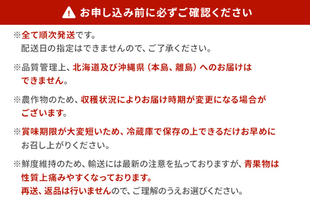 定期便 果物定期便A 4回発送 みかん ネーブル デコポン 博多あまおう 定期発送 果物 くだもの フルーツ 柑橘 イチゴ 送料無料 【2024年12月～2025年3月発送】