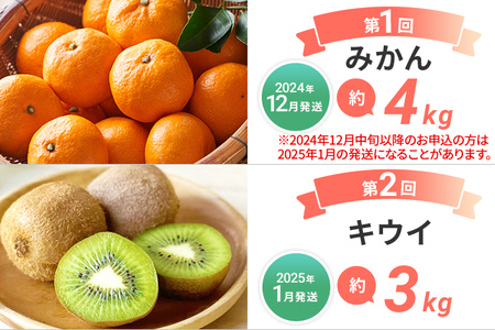 定期便 果物定期便C 6回発送 みかん キウイ デコポン 博多あまおう 冷凍あまおう すもも 定期発送 果物 くだもの フルーツ 柑橘 イチゴ 送料無料 【2024年12月～2025年6月まで計6回お届け】