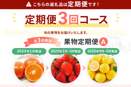 定期便 果物定期便B 3回発送 みはやみかん 博多あまおう ニューサマ―オレンジ 日向夏 定期発送 果物 くだもの フルーツ 柑橘 イチゴ 送料無料 【2025年1月～5月まで計3回お届け】