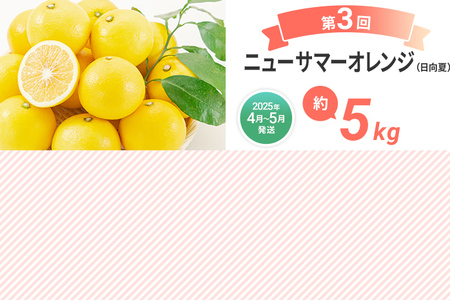 定期便 果物定期便B 3回発送 みはやみかん 博多あまおう ニューサマ―オレンジ 日向夏 定期発送 果物 くだもの フルーツ 柑橘 イチゴ 送料無料 【2025年1月～5月まで計3回お届け】