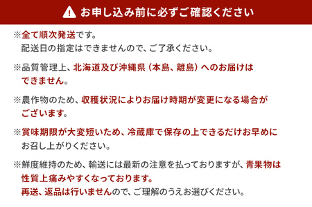 定期便 果物定期便B 3回発送 みはやみかん 博多あまおう ニューサマ―オレンジ 日向夏 定期発送 果物 くだもの フルーツ 柑橘 イチゴ 送料無料 【2025年1月～5月まで計3回お届け】