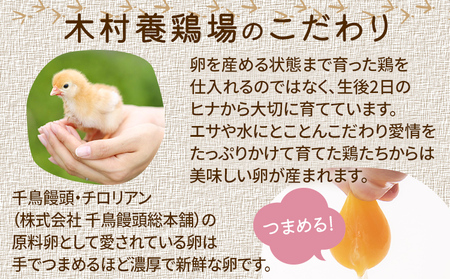 木村さんちのたまご後期定期便 6回発送（初回のみ醤油付き・たまご20個 M～L）20個×6回 合計120個 定期便 6ヶ月 卵 赤玉 送料無料 【2026年7月～12月の計6回お届け】