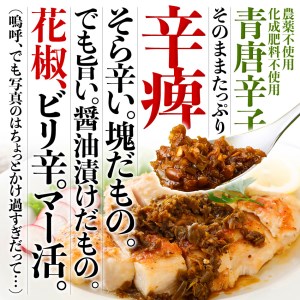 TABERU～国産青唐辛子と醤油と花椒～,～花椒BOOST～　4個セット