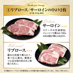 放牧牛“花子”のステーキ食べ尽しセット1,200g(約1.2kg)【er008-012】200g × 6枚 北海道 えりも町 ブランド 牛 放牧牛 花子 サーロイン リブロース ランプ イチボ シンタマ トモサンカク 肩ロース ウデ トウガラシ 肩ロース サイコロステーキ 人気