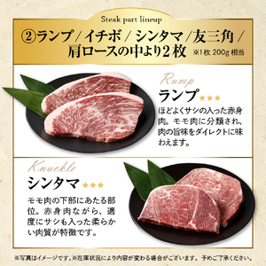 放牧牛“花子”のステーキ食べ尽しセット1,200g(約1.2kg)【er008-012】200g × 6枚 北海道 えりも町 ブランド 牛 放牧牛 花子 サーロイン リブロース ランプ イチボ シンタマ トモサンカク 肩ロース ウデ トウガラシ 肩ロース サイコロステーキ 人気