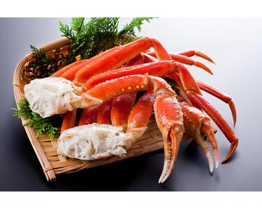 ずわいがに（脚肉） 約1kg【er001-049-b】ボイル済み かに カニ 魚介 海鮮 海産物 人気