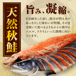 北海道えりも【マルデン特製】新巻鮭姿切身2kg【er002-041-a】国産 北海道産 日高産 秋鮭 サケ シャケ 塩鮭 切り身 焼魚 焼き魚 ムニエル 魚介 海鮮 海産物 人気