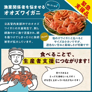 えりも【マルデン特製】ボイルオオズワイガニ姿2kg《1kg(４尾～５尾)×2》【er002-051-a】国産 北海道産 大ズワイ 大ズワイガニ ズワイガニ ズワイ 蟹 魚介 海鮮 海産物 人気