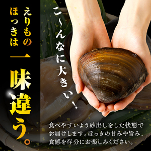 えりも産ほっき×6個【er004-044】ホッキ貝 貝 海鮮 海産物 魚介 刺身 送料無料 冷蔵 北海道 えりも町