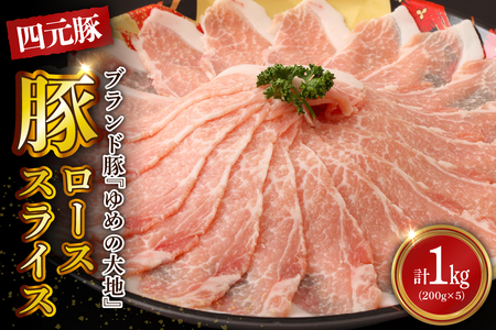 【えりも町生まれ 四元豚】ゆめの大地豚ローススライス200g×5パック 計1kg【er020-001】