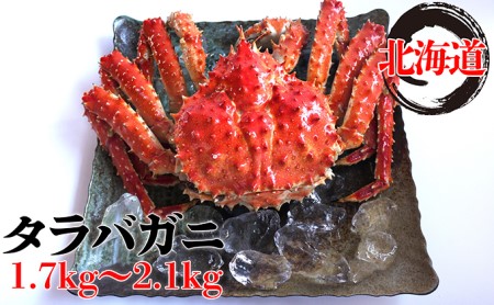 北海道太平洋岸前浜産タラバガニ(姿)1.7kg~2.1kg