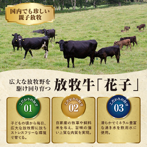 放牧牛“花子”のサーロインステーキ800g！【er008-019】