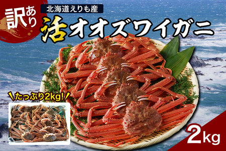 『訳あり』活オオズワイガニ2kg入【えりも産】【er004-043-e】 おおずわいがに 大ズワイ 大ズワイガニ ズワイガニ ズワイ 蟹 カニ かに 魚介類 魚介 海鮮 海の幸 海産物 大容量 訳アリ 姿 国産 北海道産 北海道 えりも町