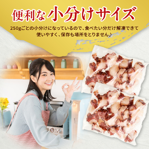 えりも【マルデン特製】北海道産ボイルたこブツ切り250g×2p【er002-085】