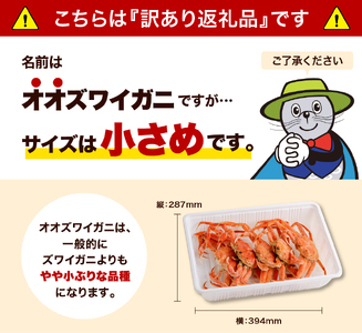 えりも【マルデン特製】訳あり生冷オオズワイガニセクション2kg(1kg×2)【er002-050-b】国産 北海道産 大ズワイ 大ズワイガニ ズワイガニ ズワイ 蟹 魚介 海鮮 海産物 訳あり 人気