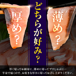 えりも【マルデン特製】(ワンフローズン)北海道日高産ぶりフィレ800g～1kg×2枚【er002-105】