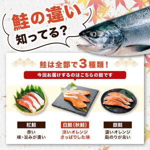 【2026年1月下旬以降発送】定塩 鮭 切り身 北海道産 13切 【マルデン特製】【er002-107】小分け 個包装 国産 しゃけ サケ 秋鮭 白鮭 切身 海鮮 魚介 冷凍 北海道 えりも町