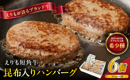 【2026年7月以降発送】【えりも短角牛】昆布入りハンバーグ 100g×6袋【er007-027】