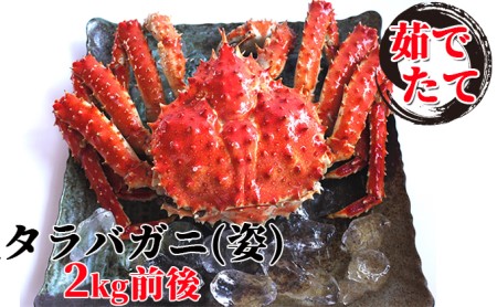 茹であげ 生タラバガニ 姿 2kg前後 北海道えりも町 ふるさと納税サイト ふるなび