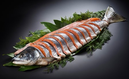 北海道産新巻鮭姿切身約2~2.3kg