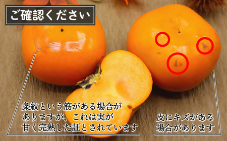 【2026年10～11月発送】秋のフルーツの王様・ブランド柿「秋王」化粧箱　約1.75kg[G2274]