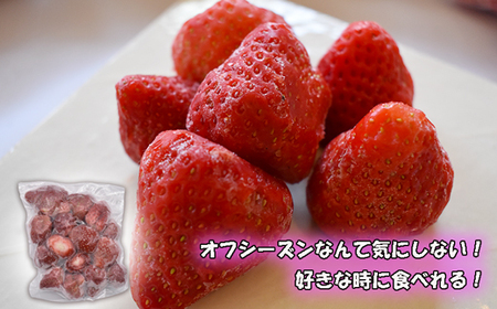 摘みたて瞬間★冷凍あまおう小分けパック1kg（250g×4P）[F0106]