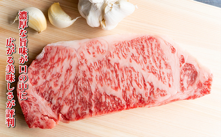 博多和牛サーロインステーキセット　500ｇ（250ｇ×2枚）[G0128]