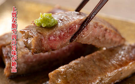 博多和牛サーロインステーキセット　500ｇ（250ｇ×2枚）[G0128]