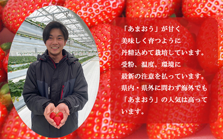 【2026年1月より順次発送】福津産『空飛ぶあまおう』約180g×6パック【スカイフローラファーム】[G0150]