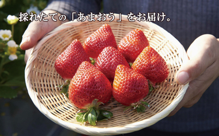 【2026年3月より順次発送】福津産『空飛ぶあまおう』約180g×6パック【スカイフローラファーム】[G0151]