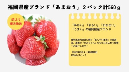 【2026年1月より順次発送】福岡県産ブランドいちご「あまおう」2パック計560ｇ★あんずの里[G0161]
