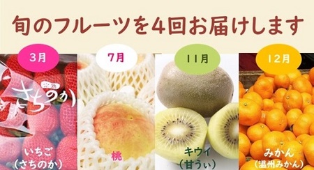 【年4回季節】旬のフルーツお楽しみ定期便★あんずの里【随時開始】[G7031a]