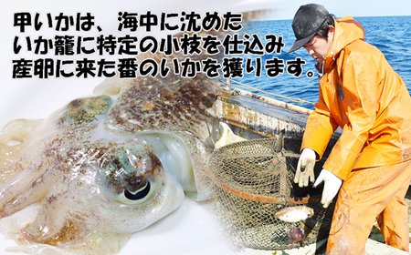 玄界灘産 甲いか漬け丼の素4人前（70g×4P）★1人前ずつ個包装[G0165]