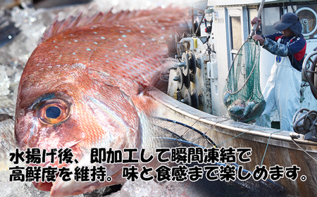 玄界灘産 海鮮漬け丼の素6人前（70g×6P）【真鯛・甲いか 各3人前】★1人前ずつ個包装[G0167]