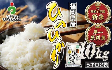 福井県産こしひかり10kg 令和6年産 白米 単一原料米 2025年5月下旬精米 福井県産こしひかり10kg 令和6年産 白米 単一原料米 2025年5月下旬精米
